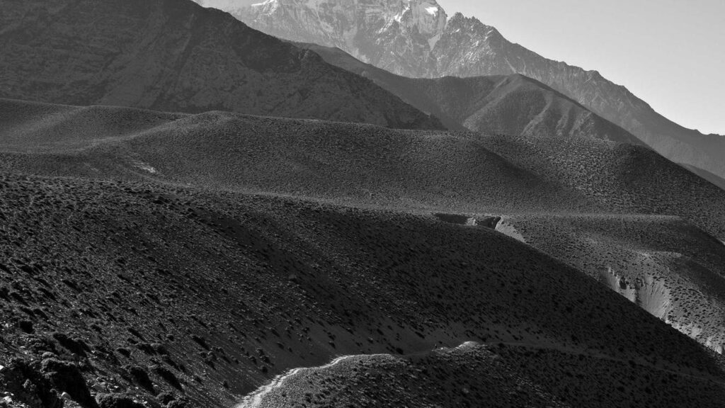 The Purge: Election Year – Ein Blick auf den aktuellen Trend und TV-Wiederholungen The Purge: Election Year – Ein Blick auf den aktuellen Trend und TV-Wiederholungen