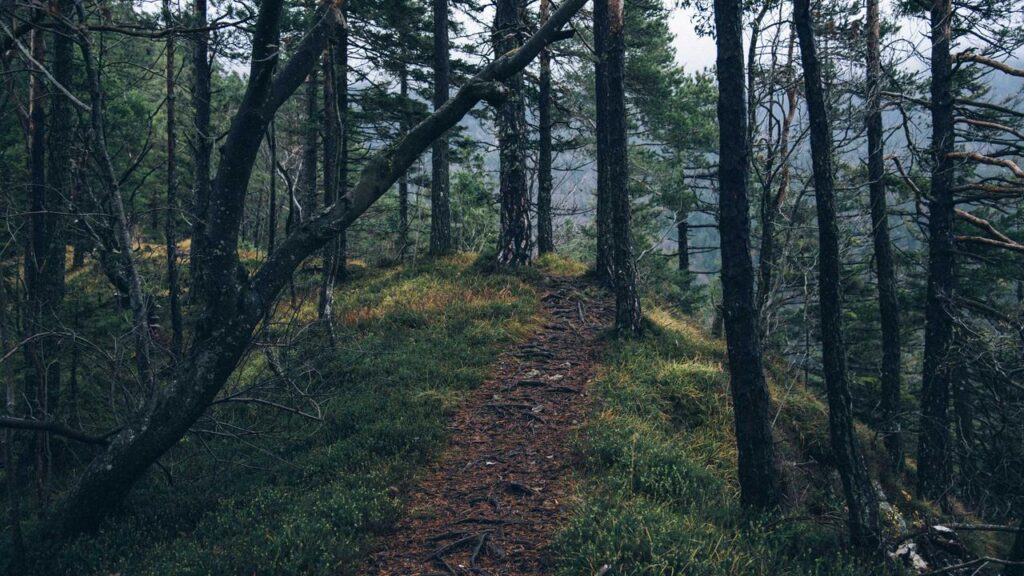 Vanessa Borck bei "Let's Dance" 2026: Ihre Mutige Entscheidung sorgt für Aufsehen