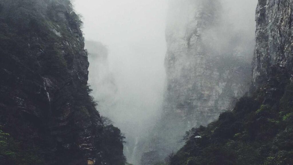 vanessa borck: Das ist jetzt bekannt