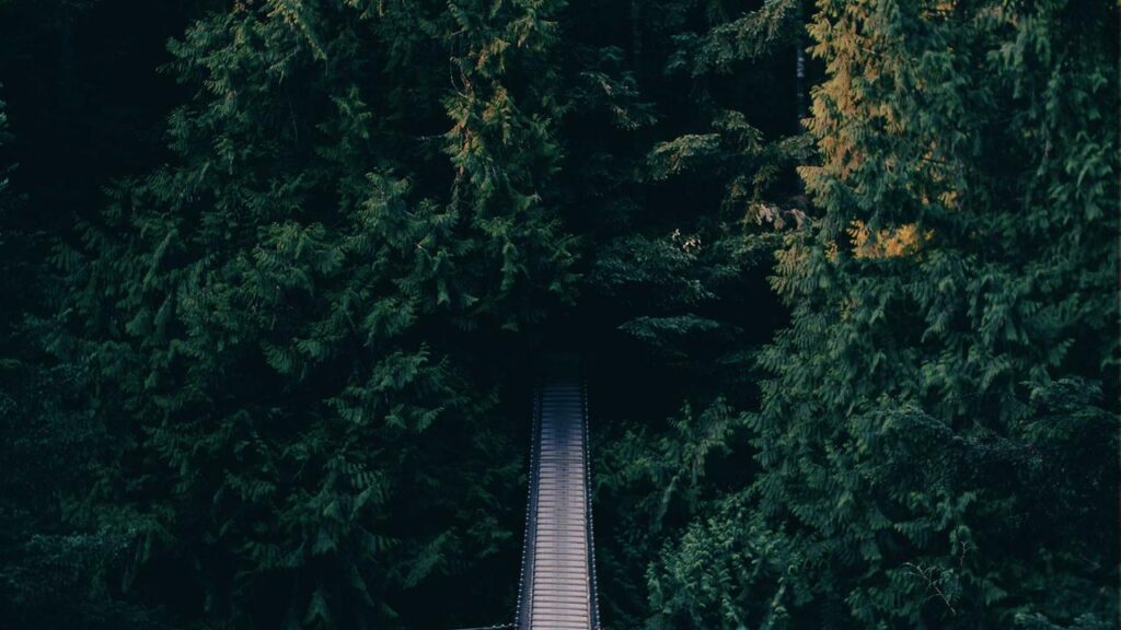 VfL Osnabrück heute gegen Waldhof Mannheim: Alle Infos zum Spiel und Aufstiegschancen