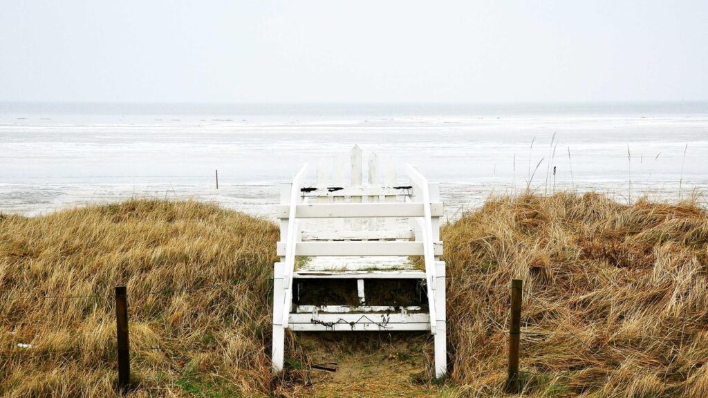 Vivian Jenna Wilson: Elon Musks Tochter spricht über Kindheit und die endgültige Abkehr von ihrem Vater