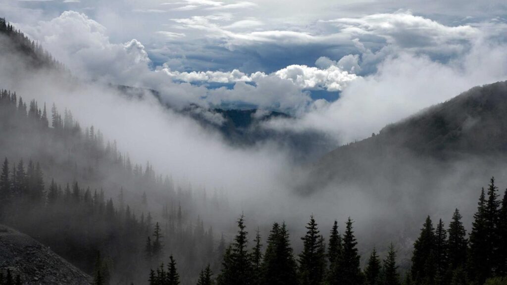 Vivian Jenna Wilson: Klartext über die Abkehr von Elon Musk