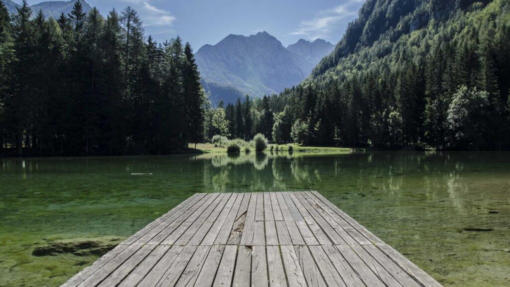 Warriors vs. Timberwolves heute: Alles zum Live-Spiel