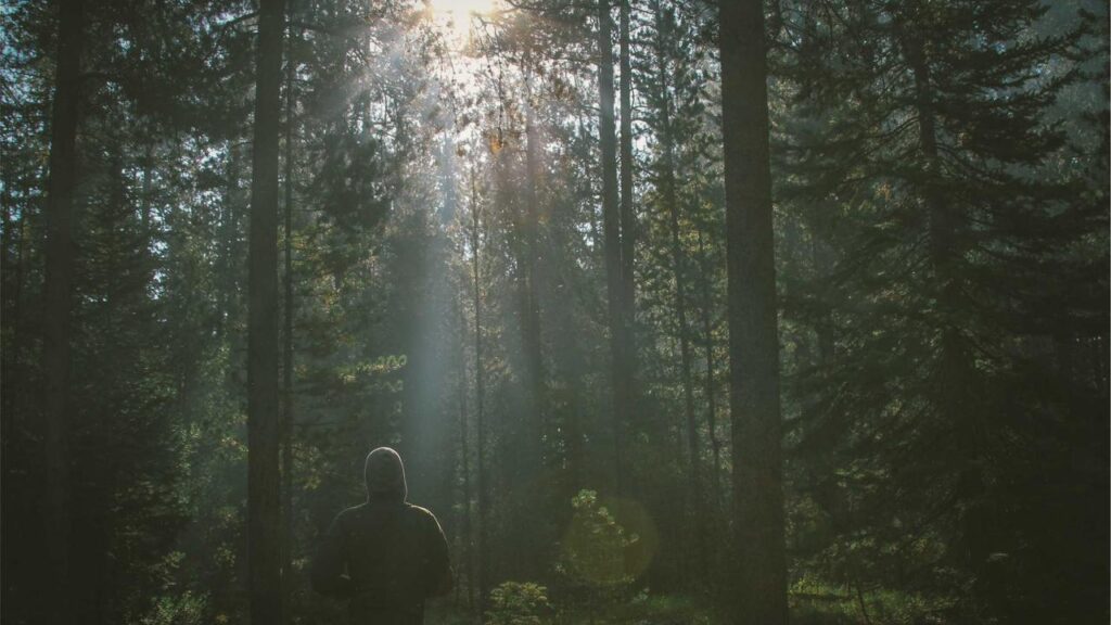 Warum viele Hersteller beim Bau von Elektrofahrzeugen scheitern, obwohl diese einfacher sind als Benzinfahrzeuge