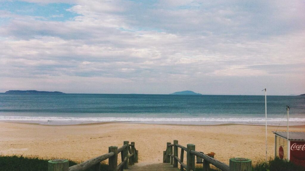 Willi Banner bei "Let's Dance": Der ehemalige Radsportler im Scheinwerferlicht der 2026-Staffel