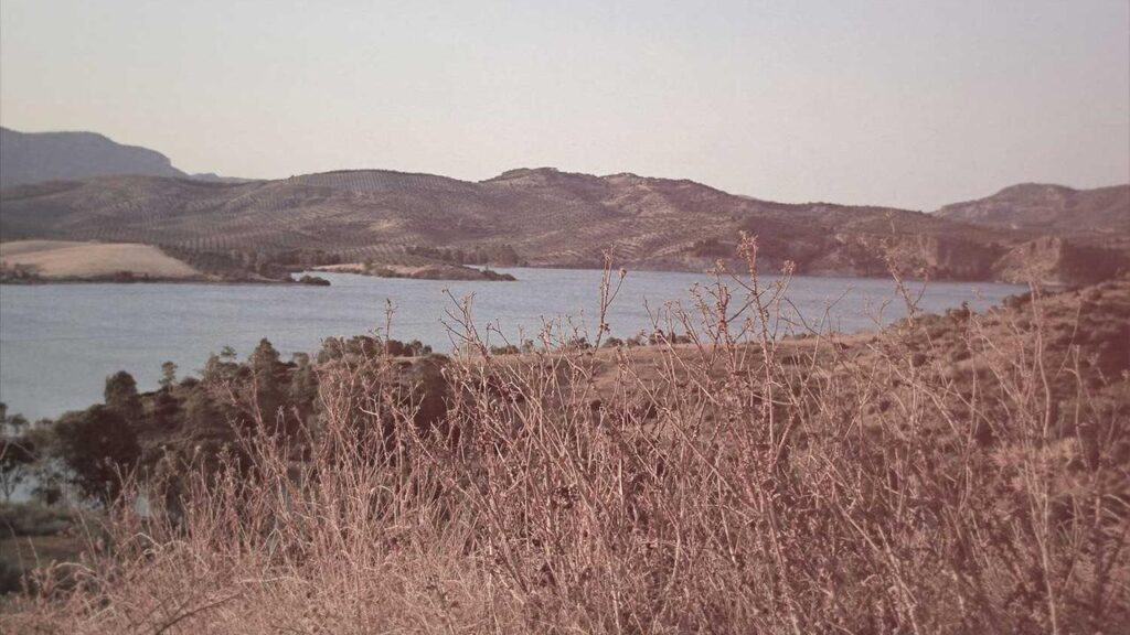 Willi Banner: Von der Radrennbahn zur Tanzfläche in Let's Dance 2026