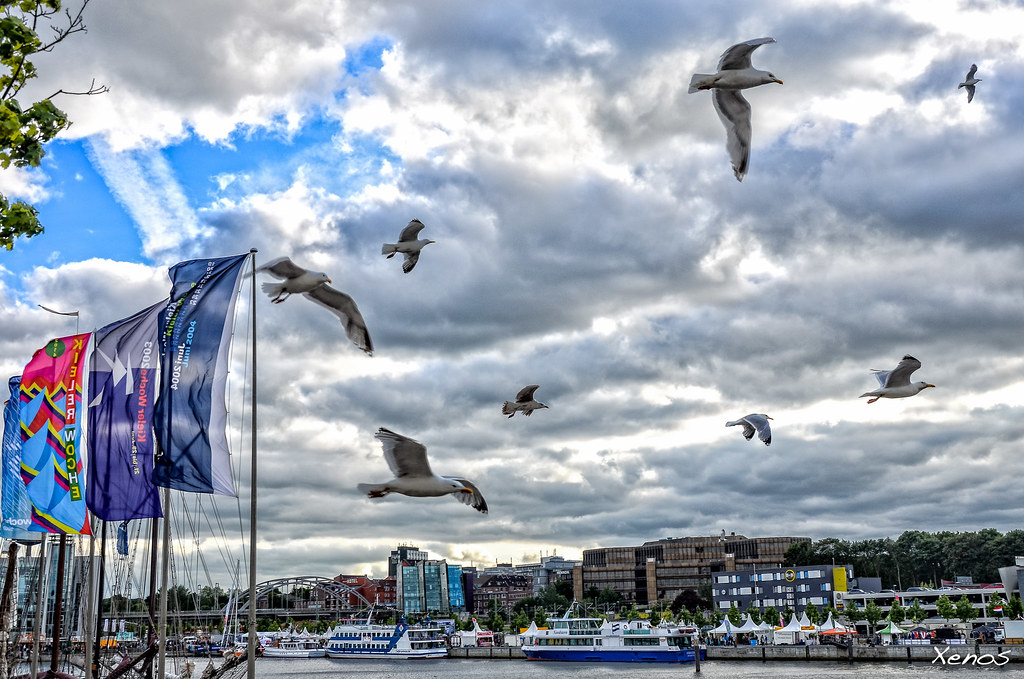 Kieler Woche 2026: Das erwartet Besucher in diesem Jahr Besucher genießen die Kieler Woche 2026 an der Förde.
