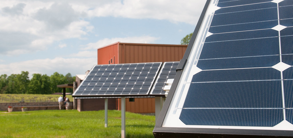 Solarzellen über Erdbeerfeldern in der Agri-Photovoltaik