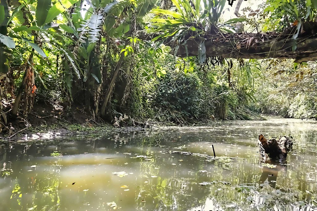 Dominica: Auf dem Weg zu neuem Tourismusboom 2026 Naturreisen in Dominica 2026